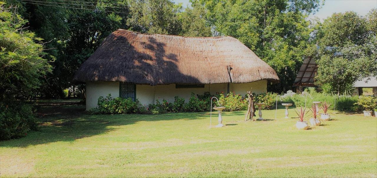 Drakensberg Bush Lodge And Backpackers Winterton Exterior foto
